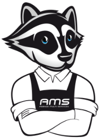 SAM bras_croises_AMS 200 bras_croises_logo