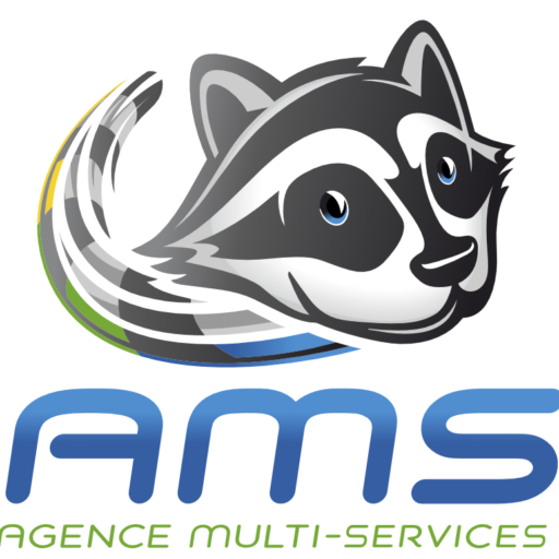 Logo-AMS_Agence-Multi-Services.png Logo-AMS_Agence-Multi-Services.png