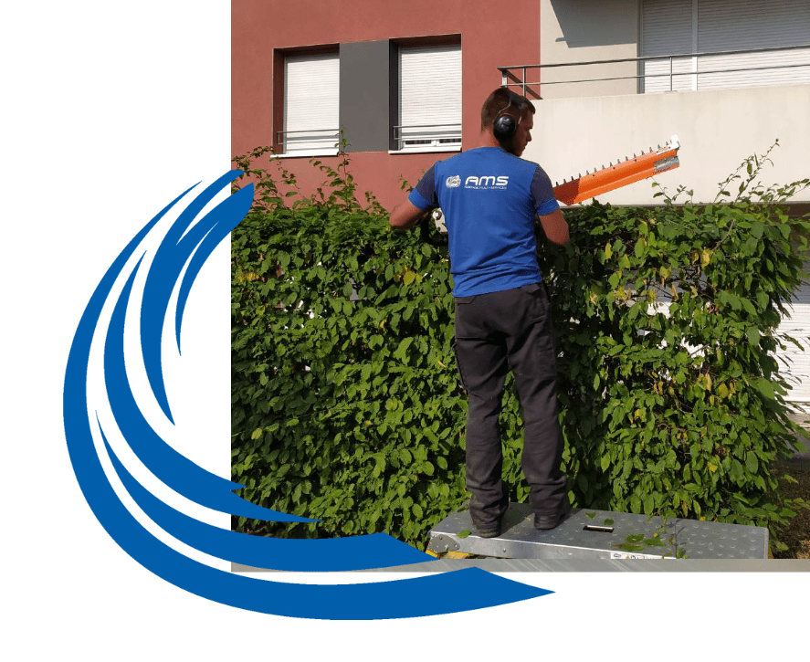 AMS Mulhouse_entretien des esapces verts AMS Mulhouse_entretien des esapces verts