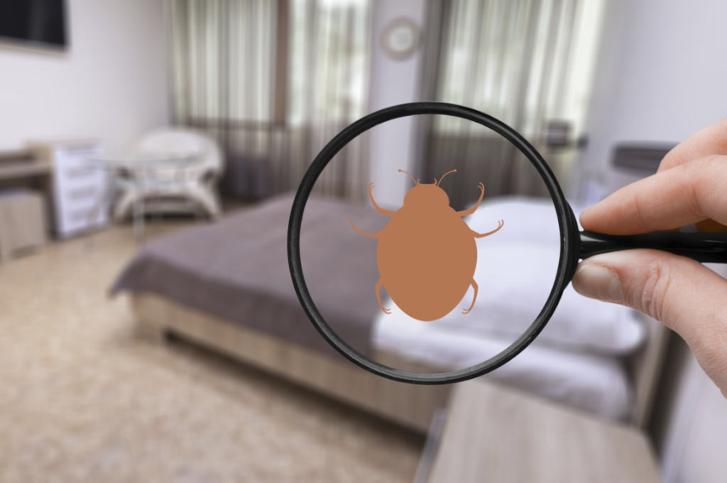 Astuce-se-debarrasser-des-punaises-de-lit