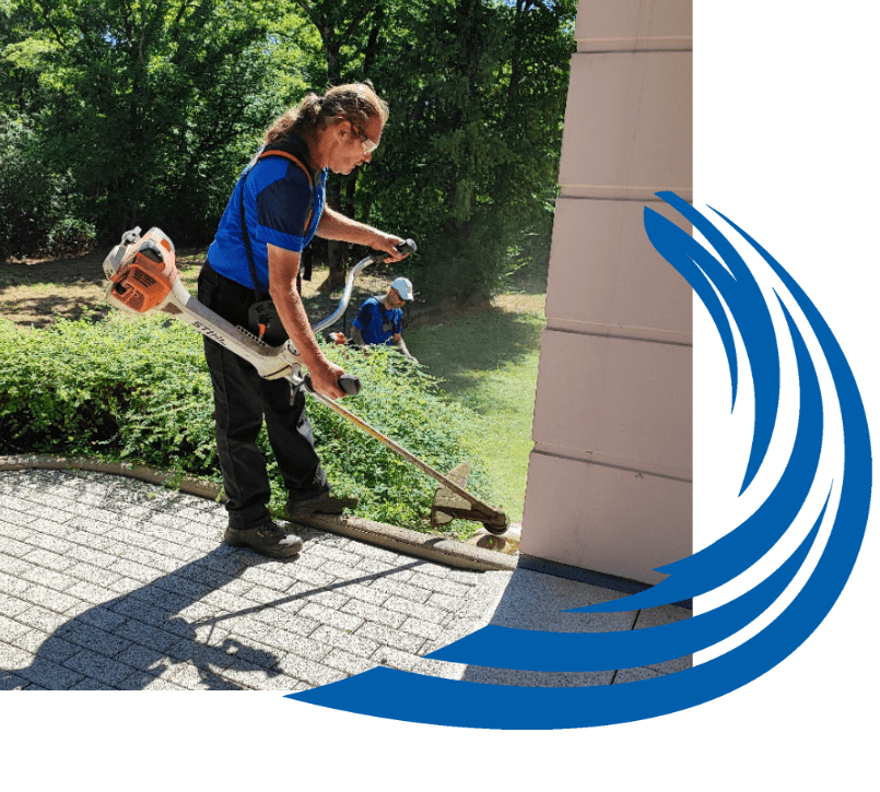 Entretien des espaces verts_AMS Mulhouse Ams Mulhouse_Nettoyage vitres