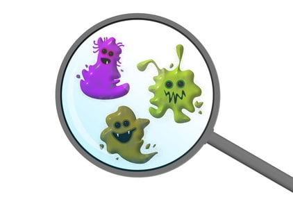 Microbes Noel_AMS Microbes Noel_AMS