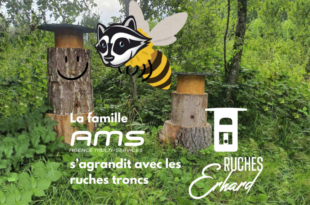 Apiculture-Urbaine-Alsace Apiculture-Urbaine-Alsace