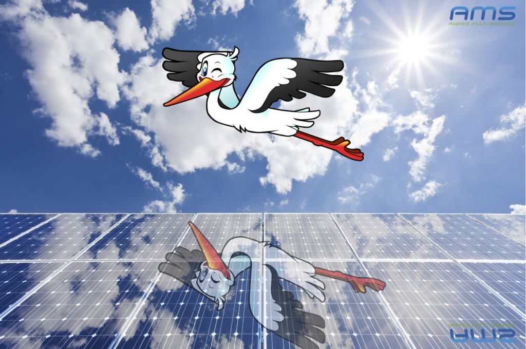 Le nettoyage des panneaux solaire Le nettoyage des panneaux solaire