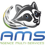 Logo-AMS-Nettotage-Mulhouse-150px0