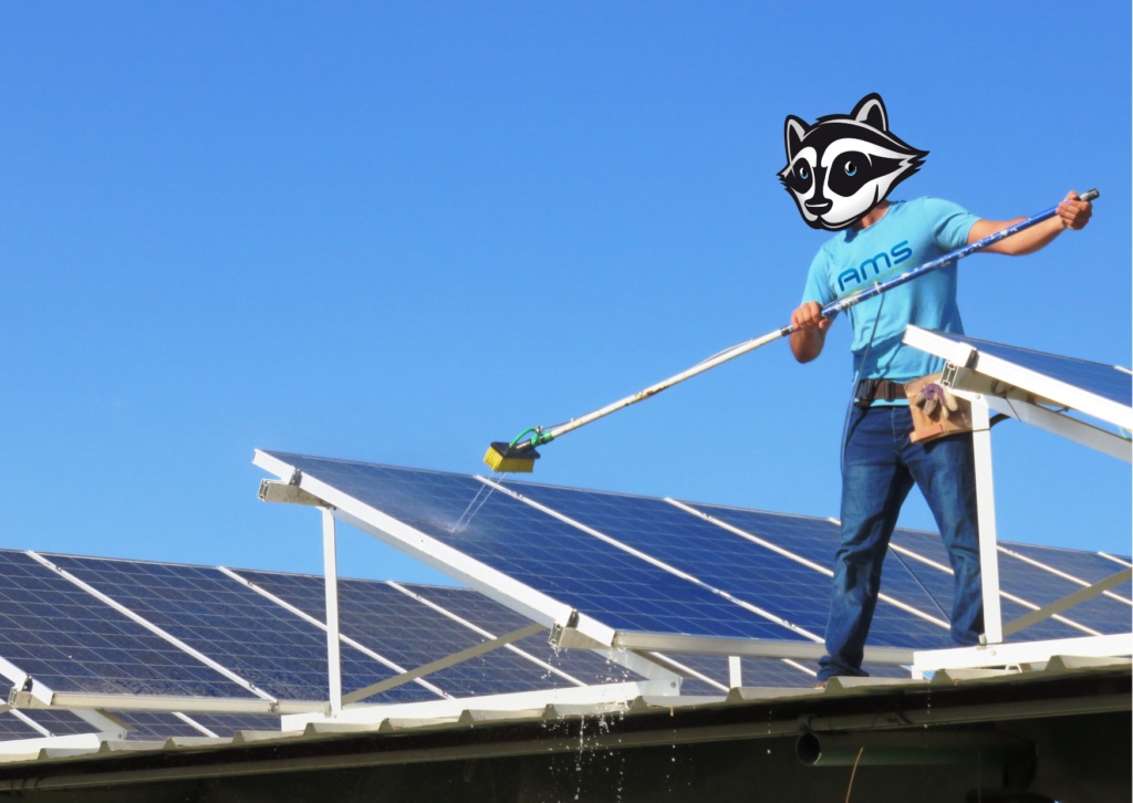 SAM Nettoyage panneaux Solaire Mulhouse_AMS SAM Nettoyage panneaux Solaire Mulhouse_AMS